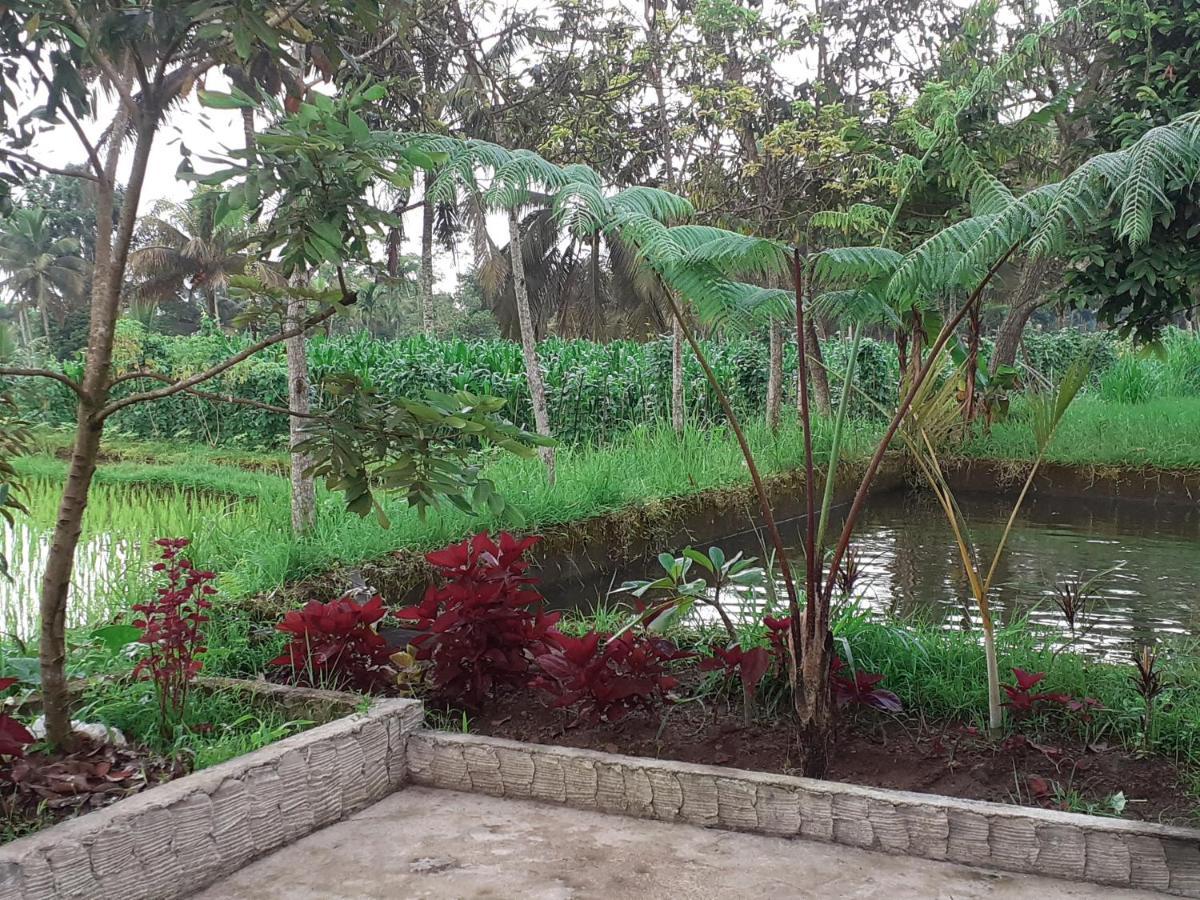 Eltari Homestay 테테바투 외부 사진