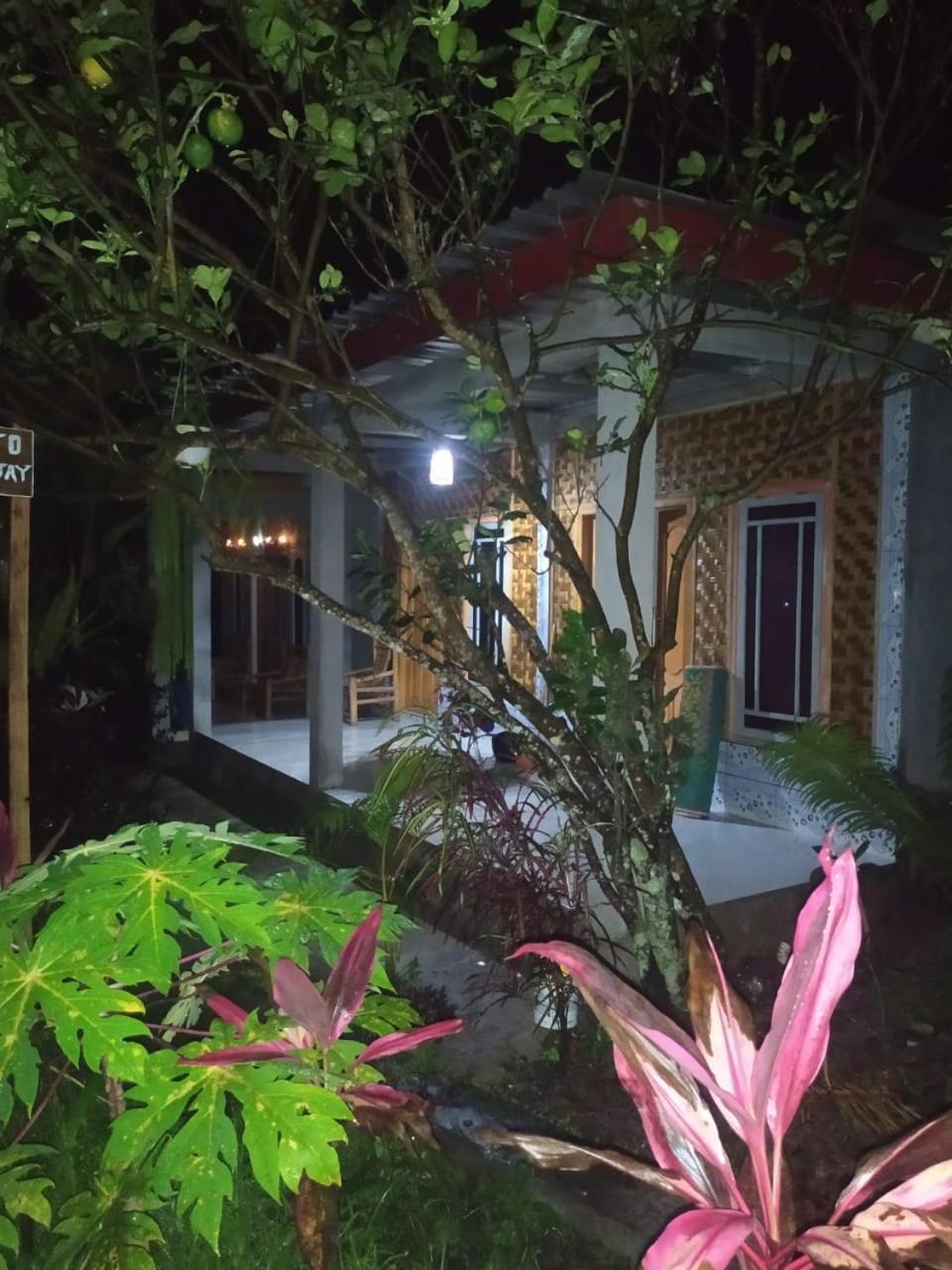 Eltari Homestay 테테바투 외부 사진